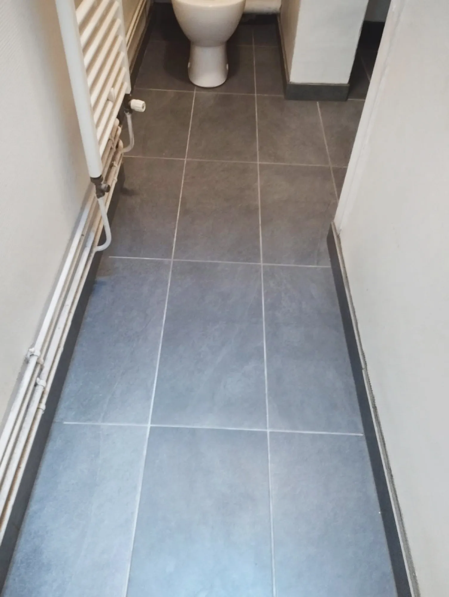 Sol en grands carreaux gris posé dans des toilettes